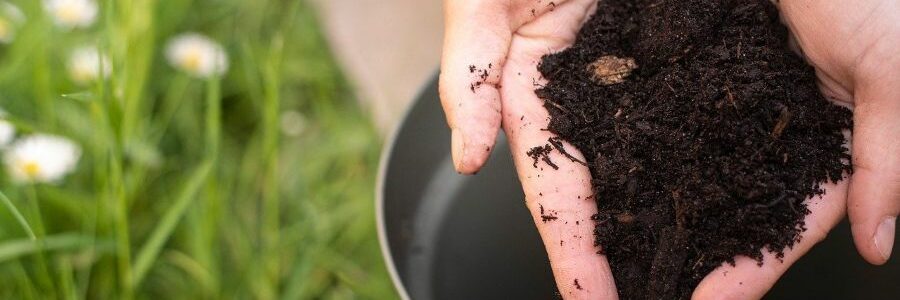 El biocarbón reduce las emisiones de efecto invernadero de los procesos de compostaje de residuos