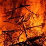 Los incendios récord en el Amazonas liberaron tanto CO2 como Alemania