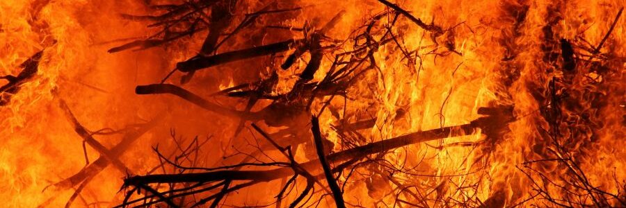 Los incendios récord en el Amazonas liberaron tanto CO2 como Alemania