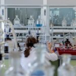MARMADE convertirá residuos de crustáceos y algas en ingredientes para alimentación humana y animal
