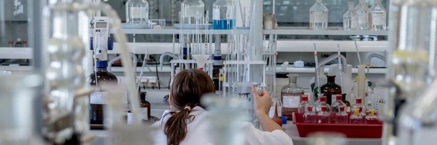 MARMADE convertirá residuos de crustáceos y algas en ingredientes para alimentación humana y animal
