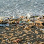 ¿Podemos atajar el problema de la contaminación por plásticos sin prescindir totalmente de ellos?