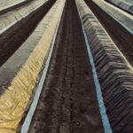 Plásticos biodegradables, una vía real para reducir la contaminación por microplásticos