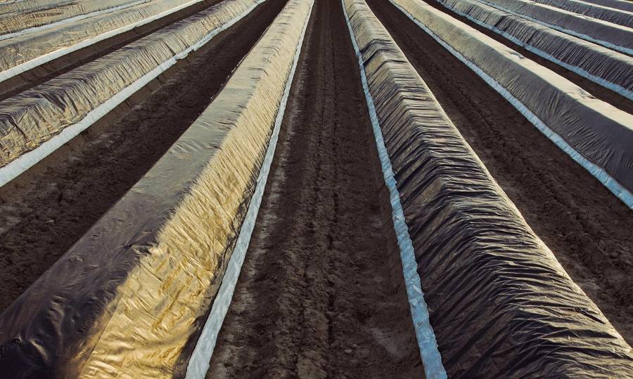 Plásticos biodegradables para frenar la acumulación de microp´lasticos