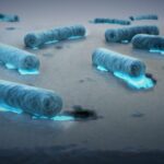 Bacterias oceánicas que devoran plástico