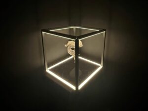 Premios Segunda Vida