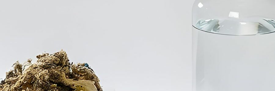 ETH Zurich y BASF logran reciclar plásticos de automoción y biomasa en materias primas de alto valor