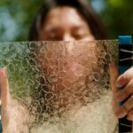 Una estudiante del MIT convierte las escamas de pescado en plástico biodegradable