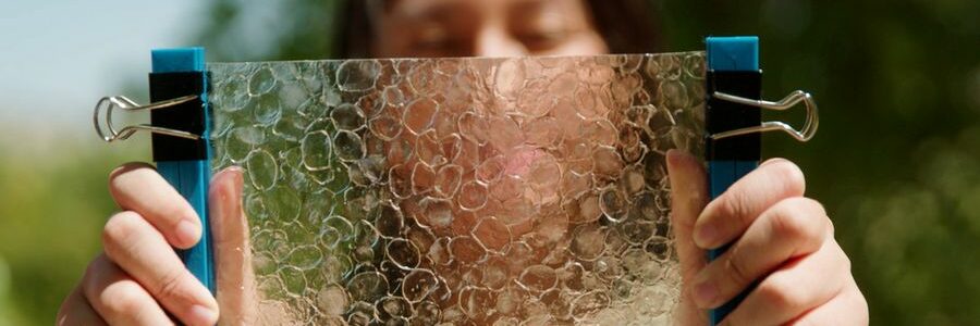 Una estudiante del MIT convierte las escamas de pescado en plástico biodegradable