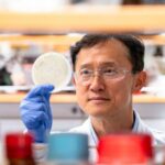 Utilizan virus genéticamente modificados para extraer tierras raras