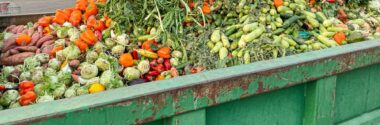 El enorme impacto ambiental del descarte de frutas y hortalizas en España