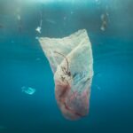 La UE establece nuevos límites para los residuos en el fondo marino