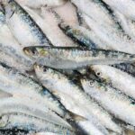 De residuos pesqueros a biofertilizantes: hacia una agricultura sostenible en Europa