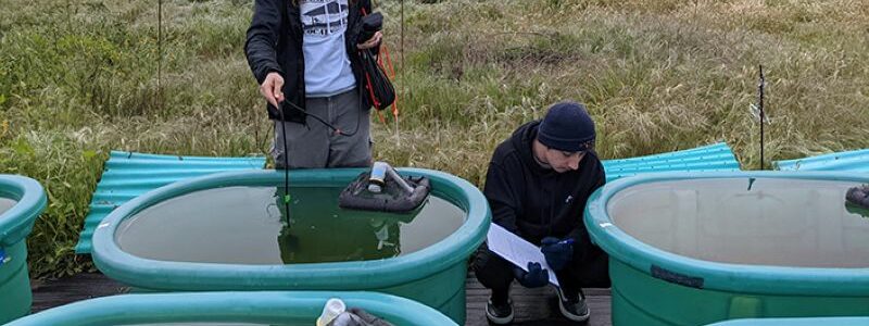 Un estudio sugiere que la contaminación plástica favorece las concentraciones de algas en todo el mundo
