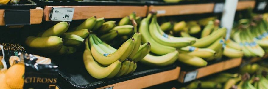 Un informe aboga por sistemas de responsabilidad ampliada del productor de alimentos para reducir los biorresiduos