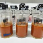 Agaleus convertirá residuos alimentarios en bioplásticos