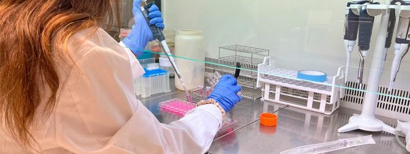 Obtienen extractos neuroprotectores a partir de residuos agrícolas