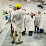 El proyecto QUITINSECT desarrollará biopolímeros para envases sostenibles y funcionales a partir de insectos