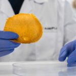 Cómo transformar residuos orgánicos en piel vegana y productos cosméticos