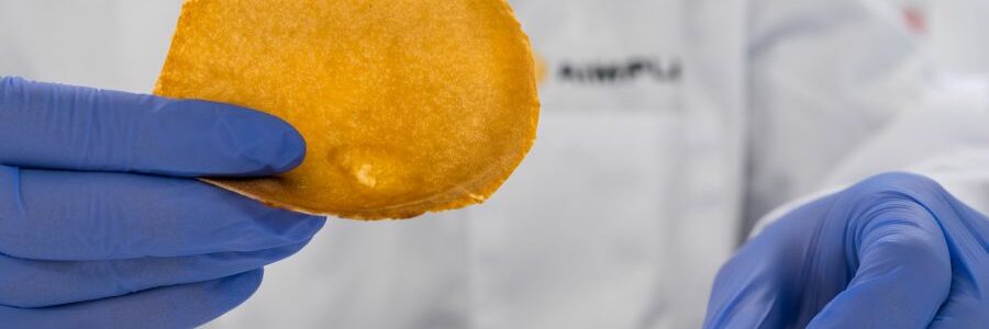 Cómo transformar residuos orgánicos en piel vegana y productos cosméticos