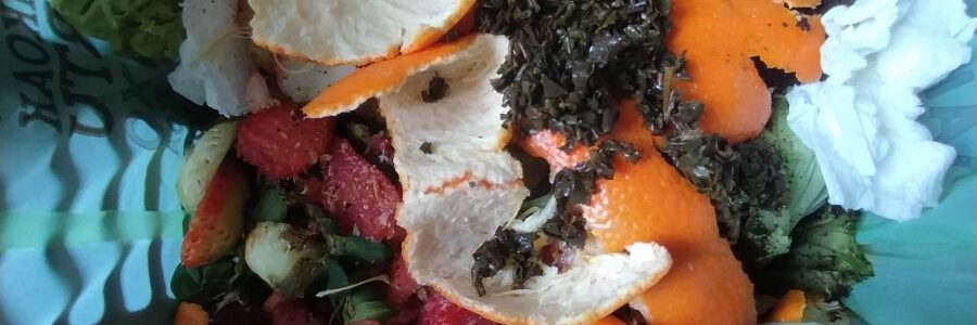 Hacia biorrefinerías urbanas de cero residuos