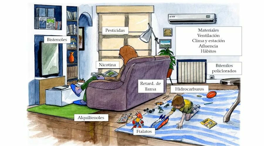 Lo que hay en el polvo de nuestros hogares