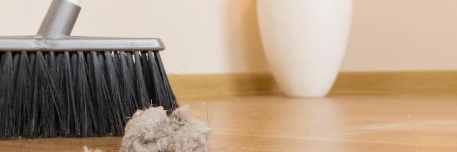 El polvo de nuestros hogares, un depósito de contaminantes: así varía su composición en diferentes ciudades españolas