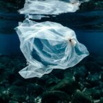 Bacterias marinas cooperan para descomponer plásticos biodegradables
