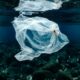 Bacterias marinas cooperan para descomponer plásticos biodegradables