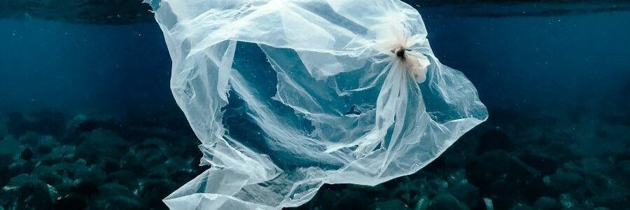 Bacterias marinas cooperan para descomponer plásticos biodegradables