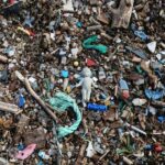 Analizar el ciclo completo del plástico para combatir la contaminación por microplásticos