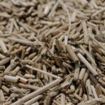 Biocirc celebra el impulso a la biocircularidad del plan anticrisis del Gobierno