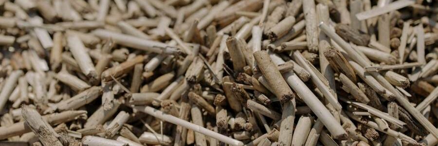 Biocirc celebra el impulso a la biocircularidad del plan anticrisis del Gobierno