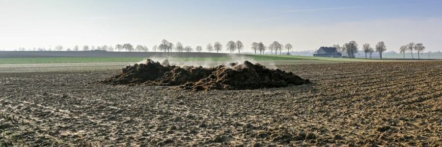 Los veterinarios apuestan por valorizar residuos ganaderos para reducir la dependencia de fertilizantes