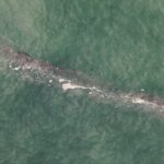 ¿Cómo llega la basura al Mediterráneo?