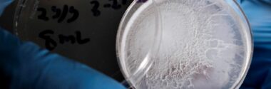 Investigadores desarrollan un hidrogel solar capaz de obtener agua potable del aire
