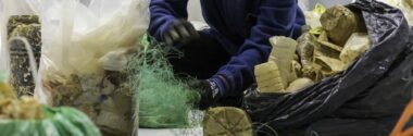 OCEANZYME investiga el reciclaje enzimático de basuras marinas