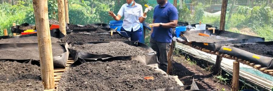Un proyecto en Kenia convierte excrementos humanos en fertilizante agrícola para impulsar la economía circular