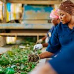 Se necesitan indicadores sociales para una transición justa hacia la economía circular