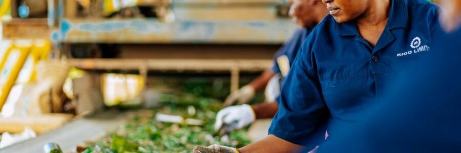 Se necesitan indicadores sociales para una transición justa hacia la economía circular