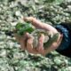 Ecovidrio incorpora más de 20 plantas de residuos urbanos al programa Cadena Circular y refuerza la sostenibilidad de su cadena de valor