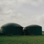 Proponen un modelo de producción distribuida de biogás para granjas pequeñas