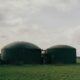 Proponen un modelo de producción distribuida de biogás para granjas pequeñas
