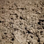 Nanopartículas a partir de residuos de almazara para descontaminar suelos