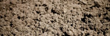 Nanopartículas a partir de residuos de almazara para descontaminar suelos