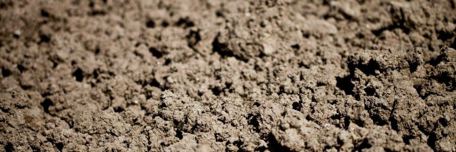 Nanopartículas a partir de residuos de almazara para descontaminar suelos