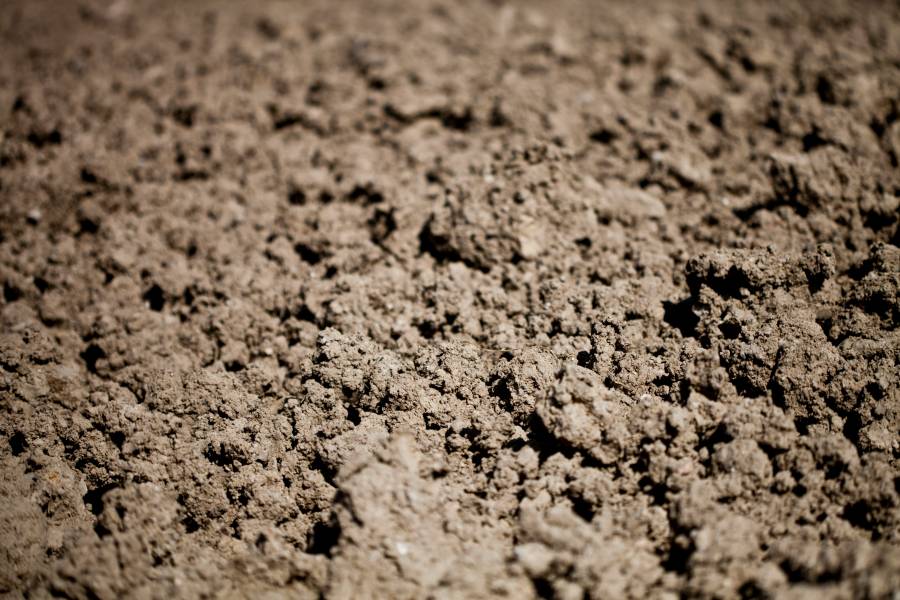 nanoparticulas a partir de residuos para descontaminar suelos