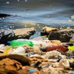 Los riesgos de los residuos plásticos para los ecosistemas marinos varían según la región oceánica