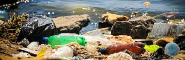 Los riesgos de los residuos plásticos para los ecosistemas marinos varían según la región oceánica
