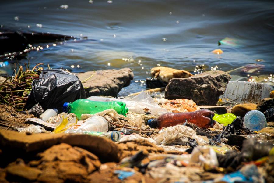Los diversos impactos de los residuos marinos en los océanos